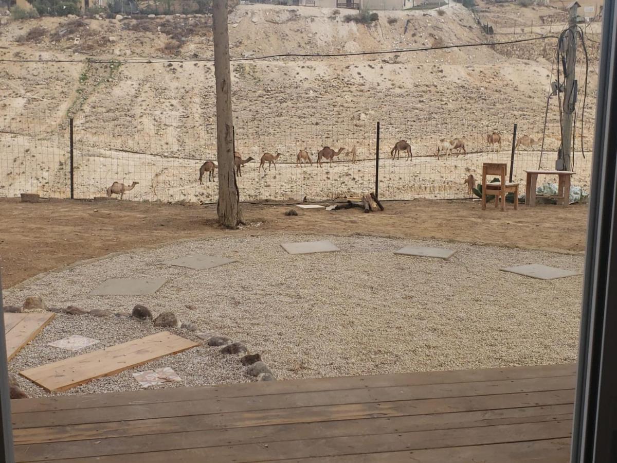 Moonlight Suite Arad צימר אור הירח, ערד Εξωτερικό φωτογραφία